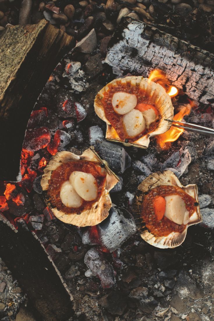 Julius Roberts Scallops Grilled in their Shells Recipe _ The Farm Table Cookbook