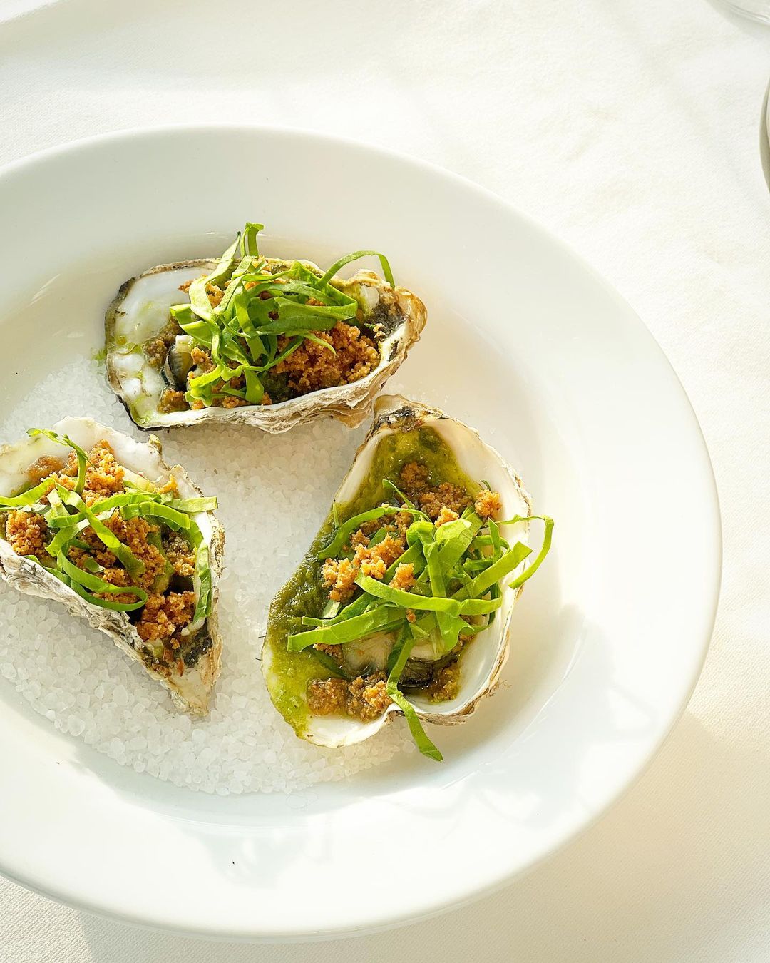 oysters